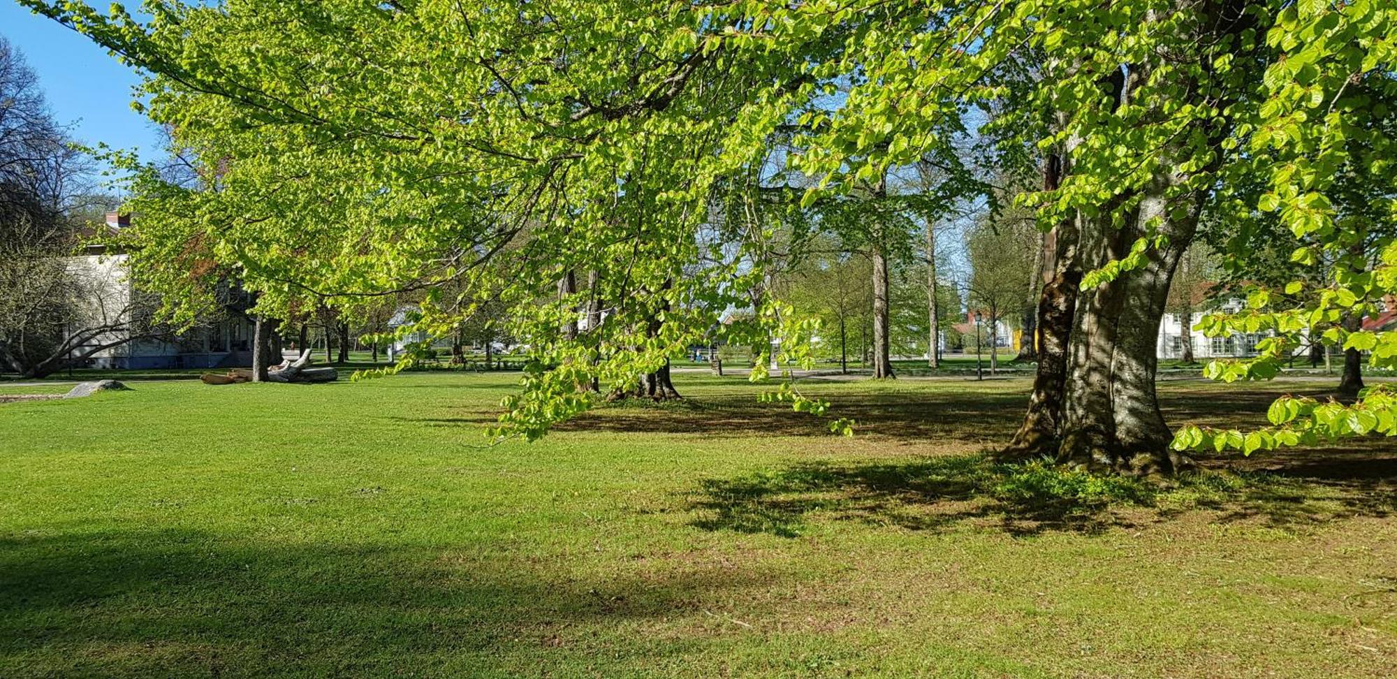 Moessebergs Vandrarhem Falköping Exterior foto